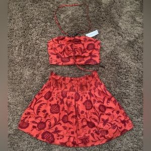 Anthropology Matching Set